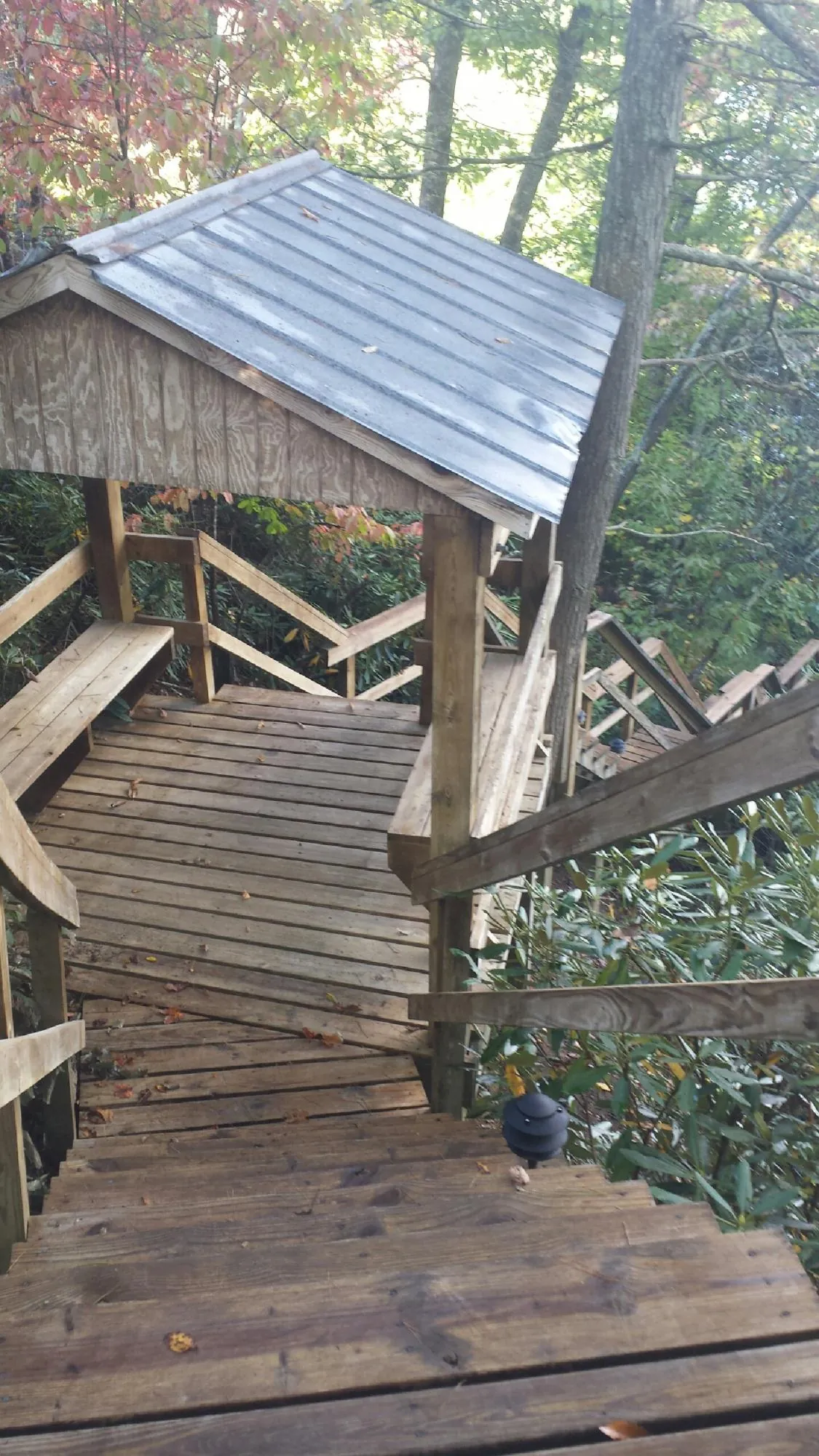 Metal roofed shelter over wooden steps on a wooded walkway — Skylight Repair & Installation work by our crew in Mount Angel