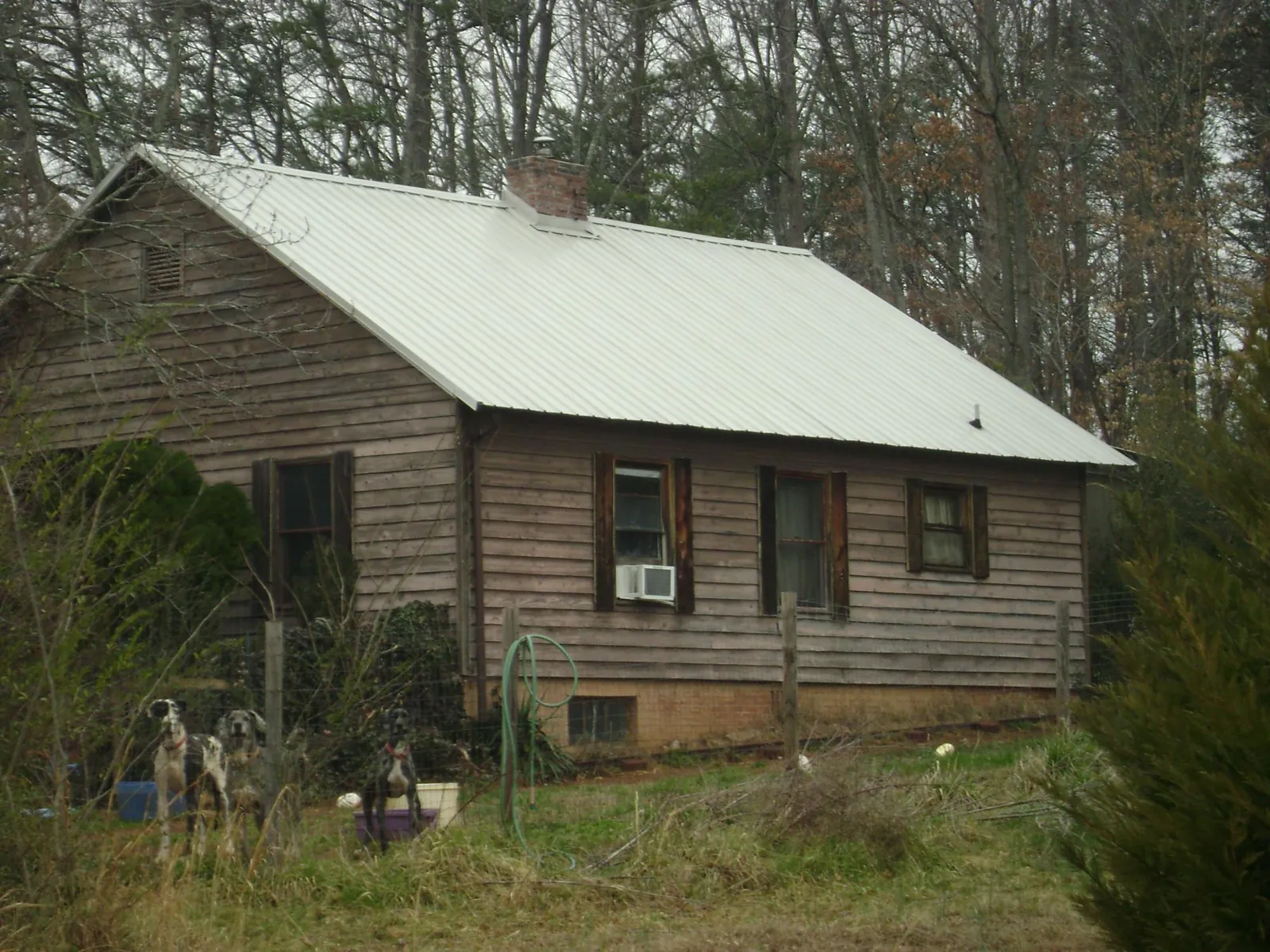 White metal roof on an old wood sided farmhouse, from a Metal Roof Installation job in Mount Angel